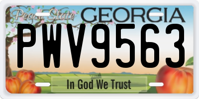 GA license plate PWV9563
