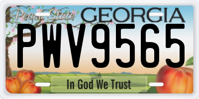 GA license plate PWV9565