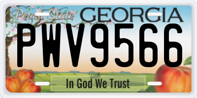 GA license plate PWV9566