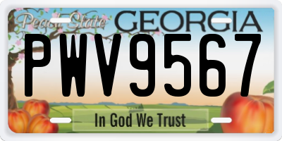 GA license plate PWV9567
