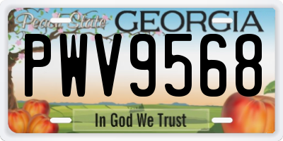 GA license plate PWV9568