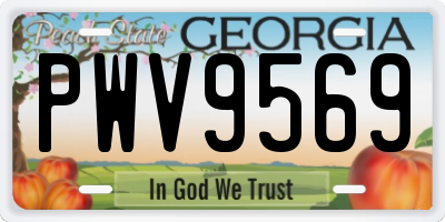 GA license plate PWV9569