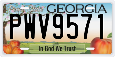 GA license plate PWV9571