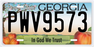 GA license plate PWV9573