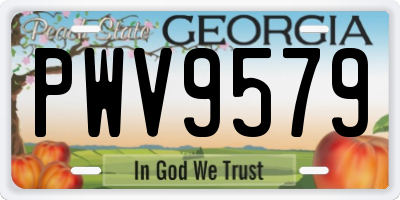 GA license plate PWV9579