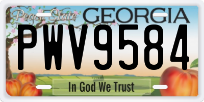 GA license plate PWV9584