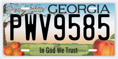 GA license plate PWV9585