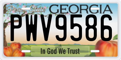 GA license plate PWV9586