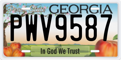 GA license plate PWV9587
