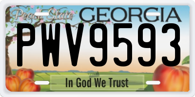 GA license plate PWV9593