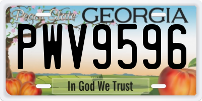 GA license plate PWV9596