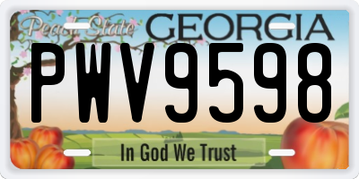 GA license plate PWV9598