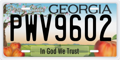 GA license plate PWV9602