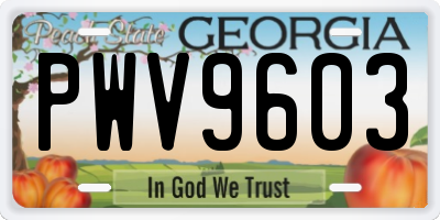 GA license plate PWV9603