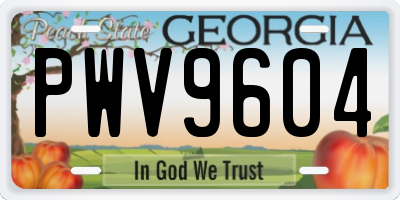 GA license plate PWV9604