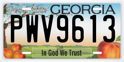 GA license plate PWV9613