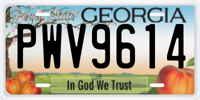 GA license plate PWV9614