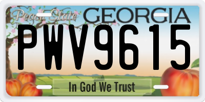 GA license plate PWV9615