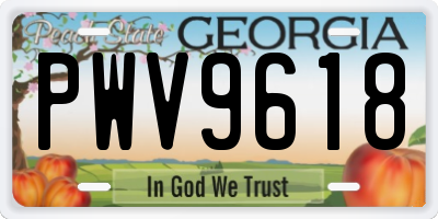 GA license plate PWV9618