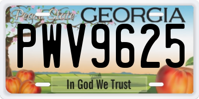 GA license plate PWV9625