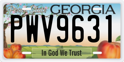 GA license plate PWV9631