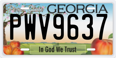 GA license plate PWV9637
