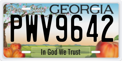 GA license plate PWV9642