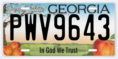 GA license plate PWV9643