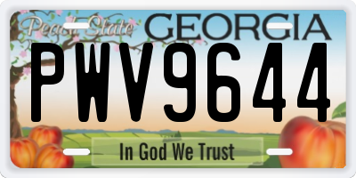 GA license plate PWV9644