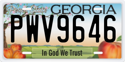 GA license plate PWV9646