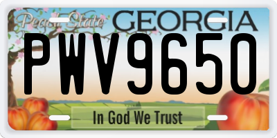 GA license plate PWV9650