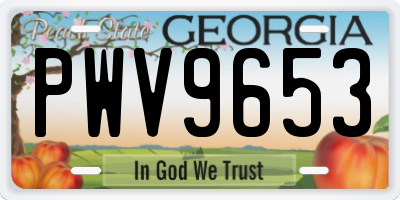 GA license plate PWV9653