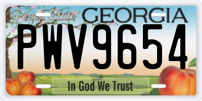 GA license plate PWV9654