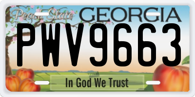 GA license plate PWV9663