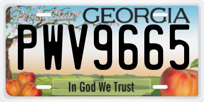 GA license plate PWV9665