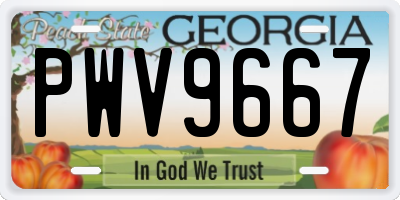 GA license plate PWV9667