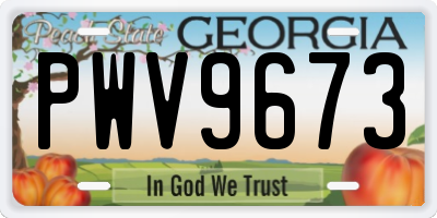 GA license plate PWV9673