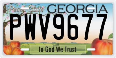 GA license plate PWV9677