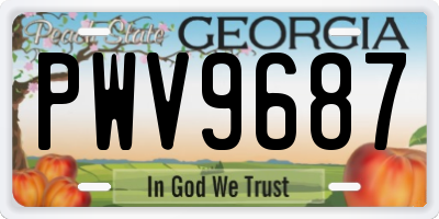 GA license plate PWV9687