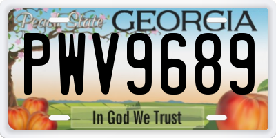 GA license plate PWV9689