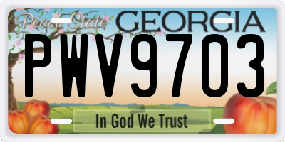 GA license plate PWV9703