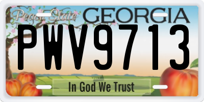 GA license plate PWV9713
