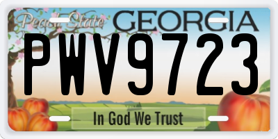 GA license plate PWV9723