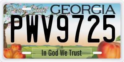 GA license plate PWV9725