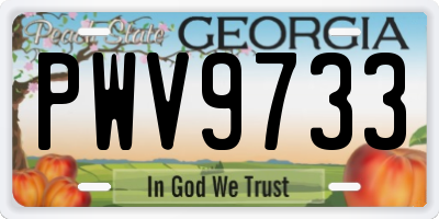 GA license plate PWV9733