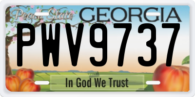 GA license plate PWV9737