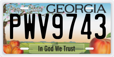 GA license plate PWV9743