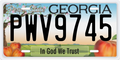 GA license plate PWV9745