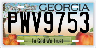 GA license plate PWV9753