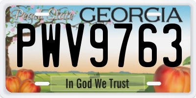 GA license plate PWV9763